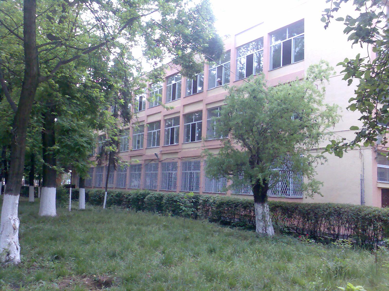 Liceul Constantin Brancusi